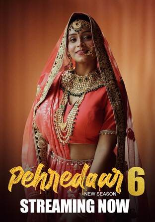 Pehredaar (2024) PrimePlay Season 6 Episode 1