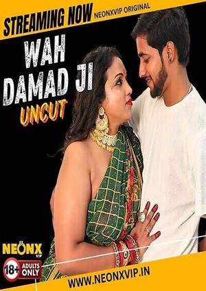 Wah Damad Ji (2024) Neonx Hindi Short Film