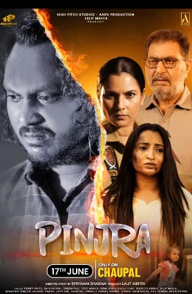 Pinjra (2025) Punjabi HD